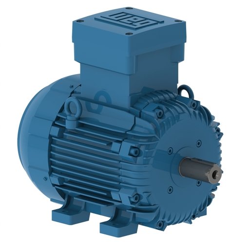 Motor eléctrico W21Xd a prueba de explosión para áreas clasificadas - MRI