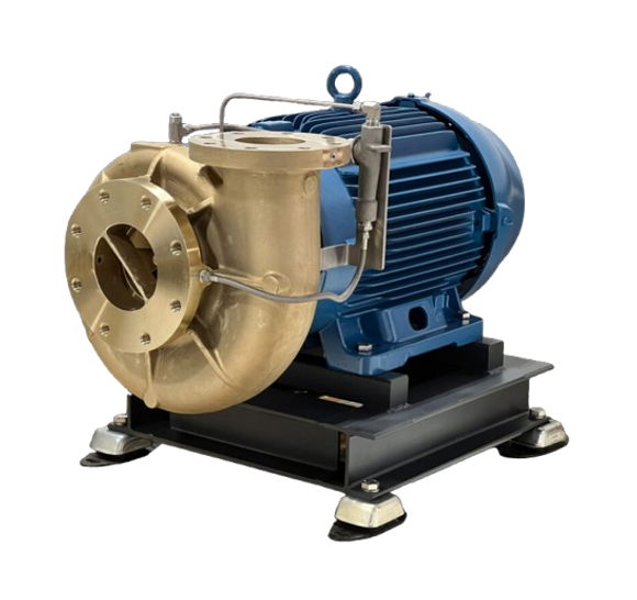 Bomba sumergible Serie Z de Ebara en acero inoxidable para aguas residuales - MRI